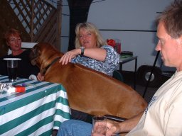 heuhotel_2002_4_20141228_1728823721