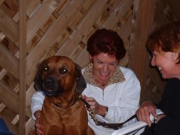 heuhotel_2002_6_20141228_1026047964
