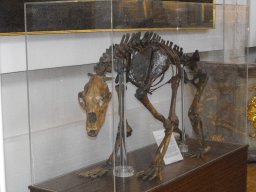 muenchen2008_33_20141228_1292980146