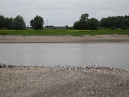 radtour2013_124_20141229_1033182593