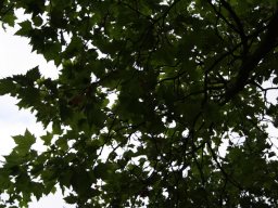 radtour2013_134_20141229_1839416227