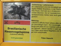 radtour_2017_rheinberg_18_20170922_1788890645
