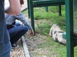 radtour_2017_rheinberg_37_20170922_1304744074