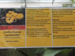 radtour_2017_rheinberg_4_20170922_1239199822