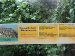 radtour_2017_rheinberg_5_20170922_1319087011