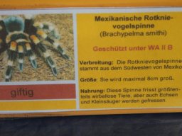 radtour_2017_rheinberg_69_20170922_1326484390