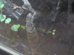 radtour_2017_rheinberg_6_20170922_1951769823
