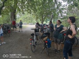 radtour_2019_15_20190728_1673201003