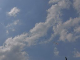 radtour_2019_5_20190728_1837026184