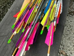 2023-Bogen-Tag-Eversael