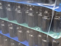 Brauereibesichtigung 2025