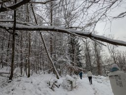 2026 BuLi 25/26 Tag4